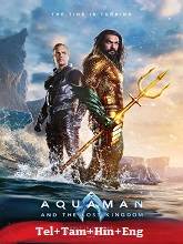 Aquaman and the Lost Kingdom Original [Telugu + Tamil + Hindi + Eng] Dubbed